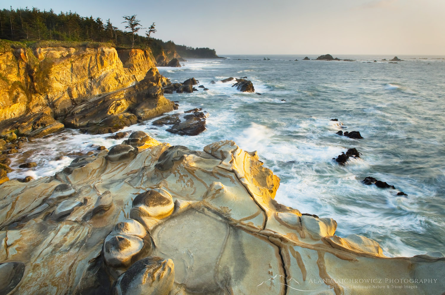 Shore Acres State Park Oregon Shore Acres State Park Oregon
