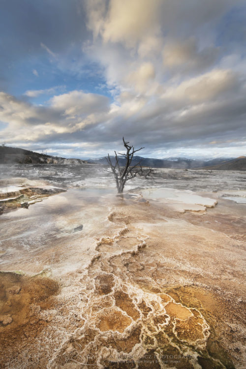 Mammoth Hot Springs Yellowstone National Park