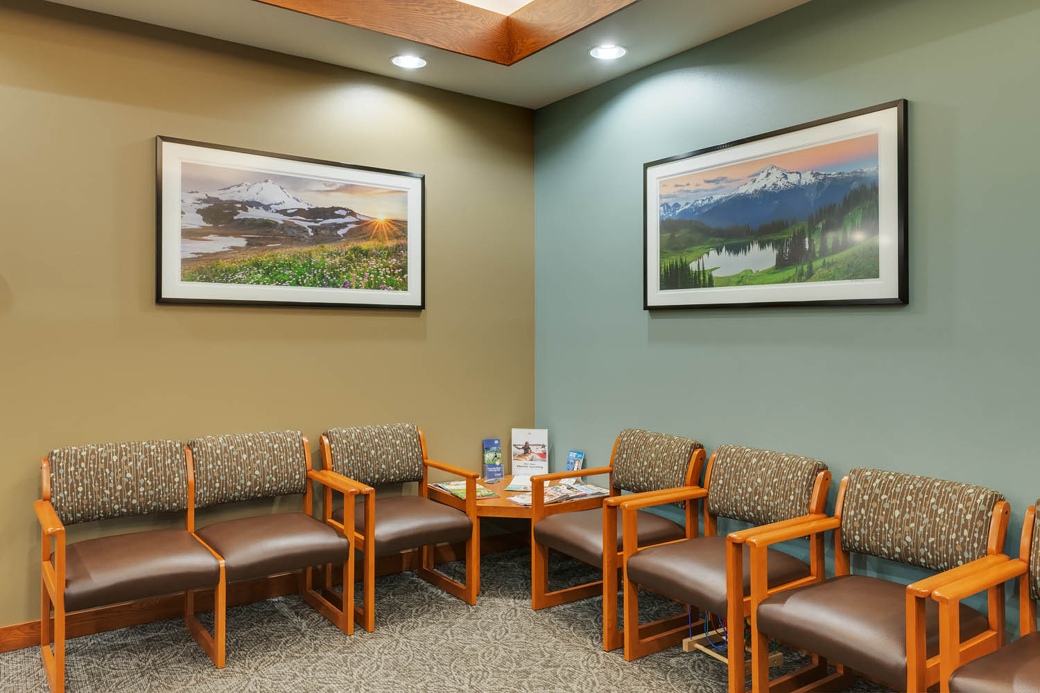 Mount Baker Vision Clinic Fine Art Installation