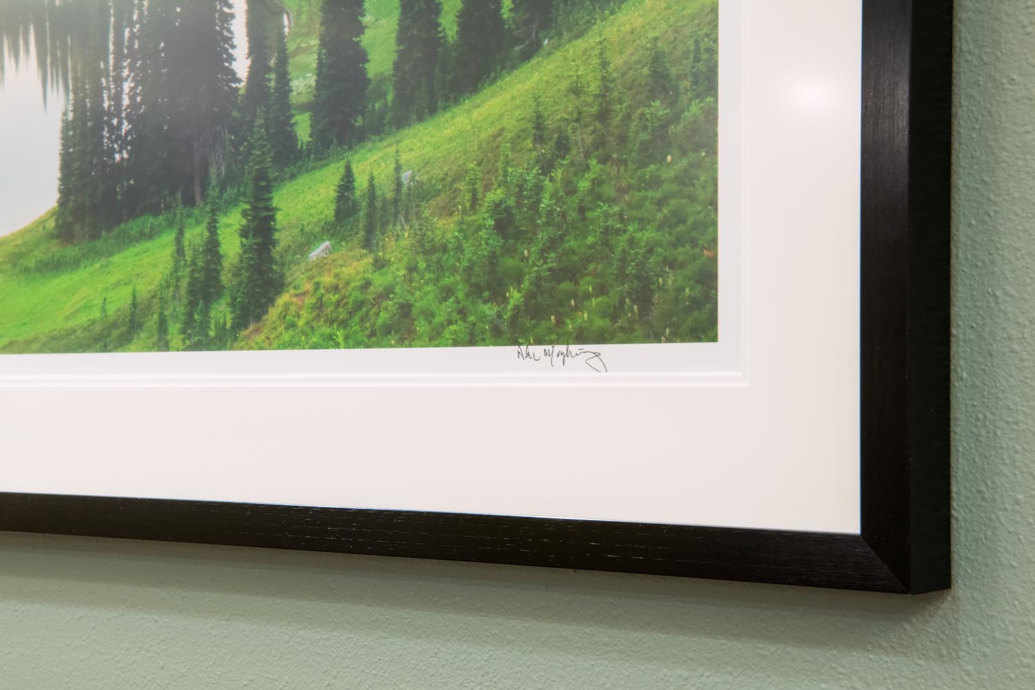 Mount Baker Vision Clinic Fine Art Installation