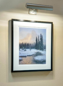 Mount Baker Vision Clinic Fine Art Installation