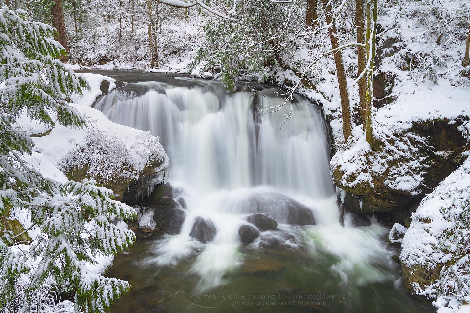 Whatcom Falls Bellingham Washington