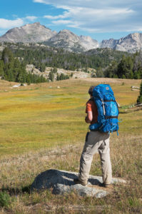 Adult male backpacker with blue backpack and red shirt on the Fremont Trail near Dads Lake. Bridger Wilderness, Wind River Range Wyoming